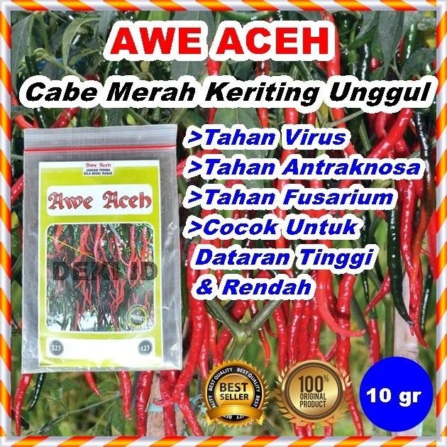 Benih Cabe Awe Aceh Bibit CMK Cabai Merah Keriting 10 Gram