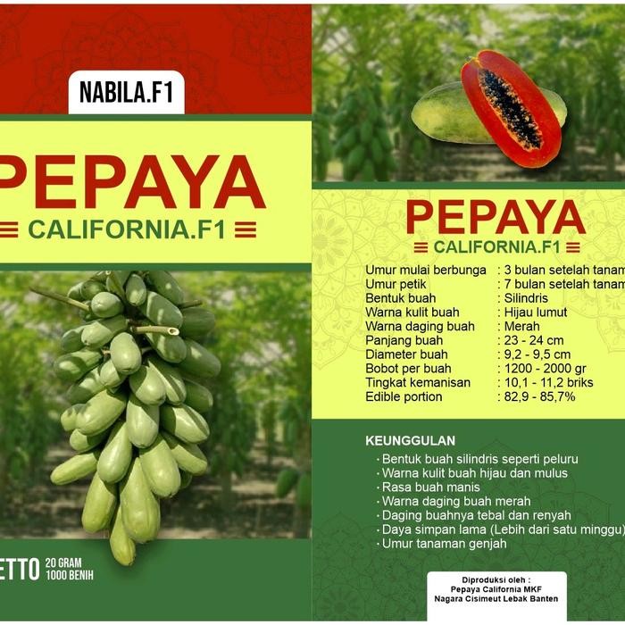BIBIT PEPAYA CALIFORNIA NABILA F1