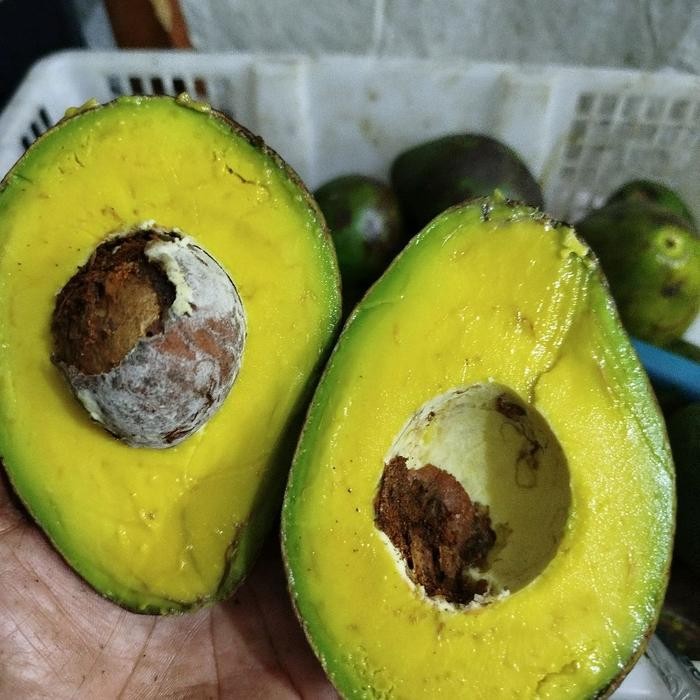 Fruitsz- Alpukat Markus& Aligator Super