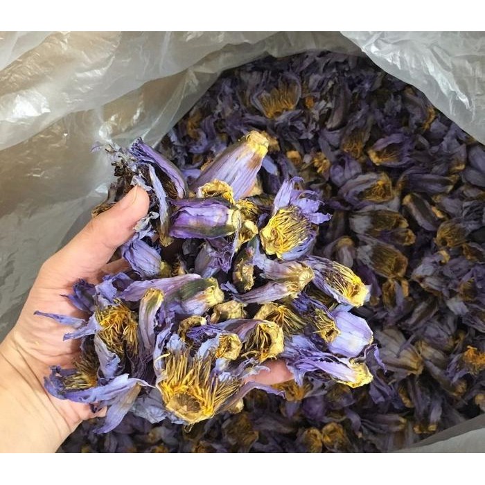 Super Insomnia / Dried Blue Lotus / Bunga Lotus Biru