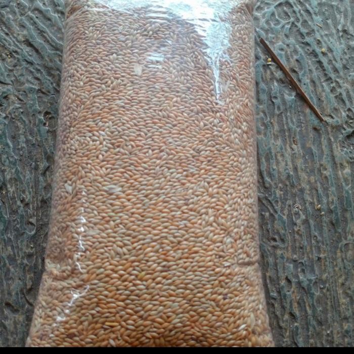 6yfd- Canary Seed 1Kg/Canary Seed Repack Merk Vita/Makana Kenari