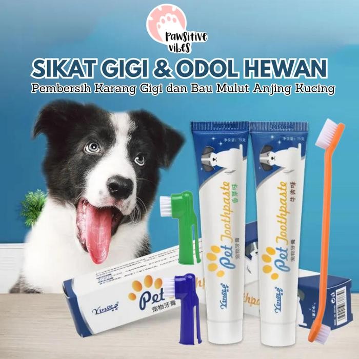 sikat gigi kucing dan odol - sikat gigi kucing - sikat gigi anjing