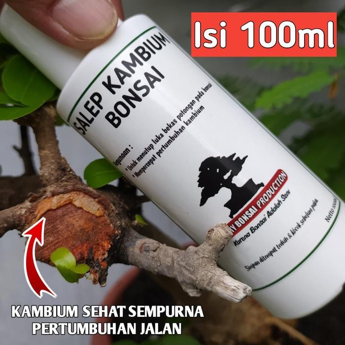 SALE  Salep Kambium Bonsai 100ml ORIGINAL