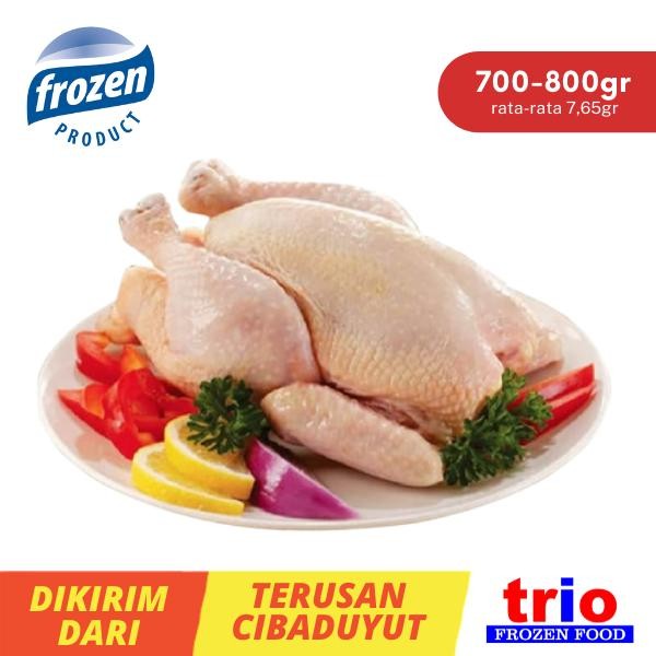 

Pilihan- Ayam Potong Karkas Broiler Utuh Ukuran 700Gr