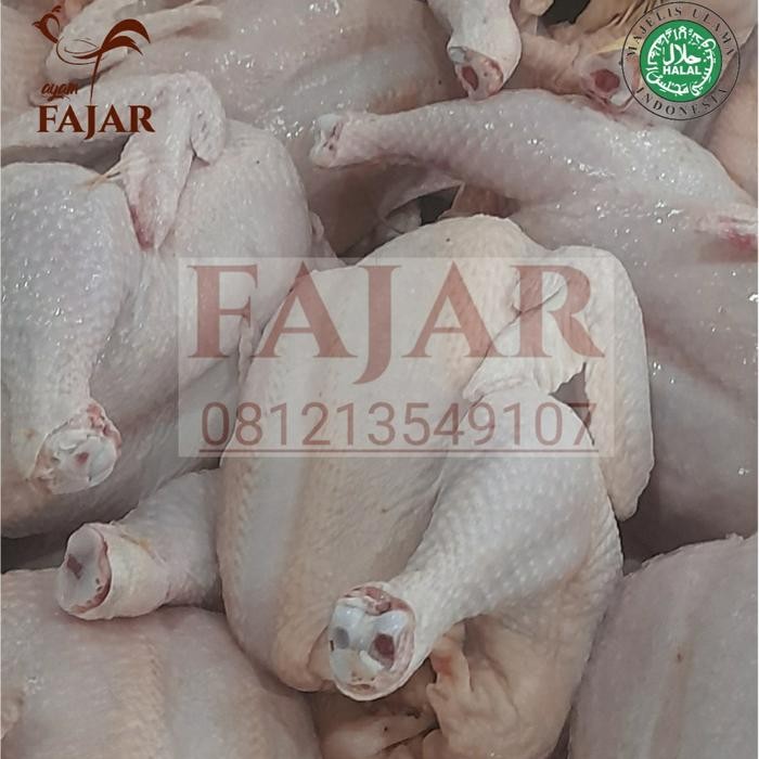 

Pilihan- Karkas Ukuran 1.7-1.8 Kg