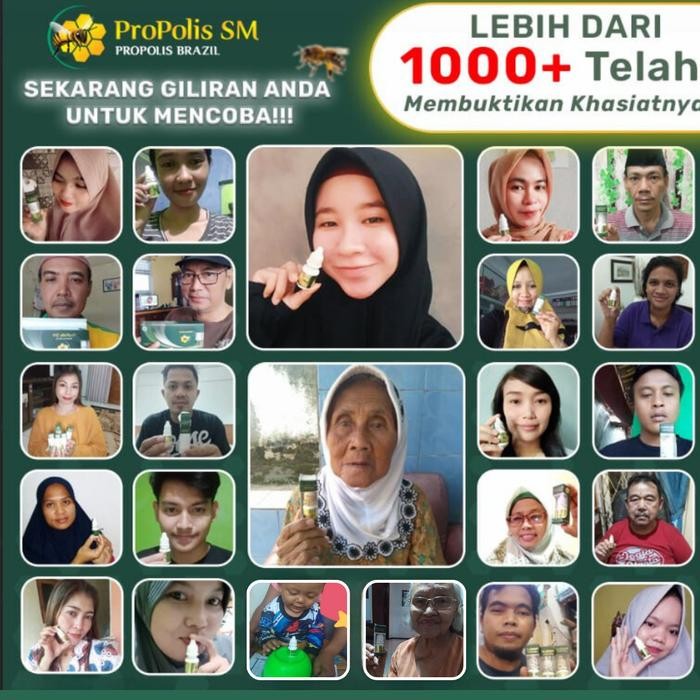 7q95- Propolis Sm 6Ml - Tetes Telinga Anak Dewasa, Pembersih Telinga, Pelunak Kotoran