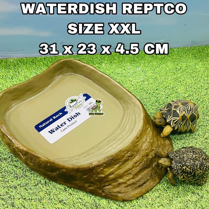 WATERDISH REPTCO SIZE XXL JUMBO TEMPAT MINUM KURA DARAT SULCATA ALDABRA ISTAR SALVA SKINK PANANA