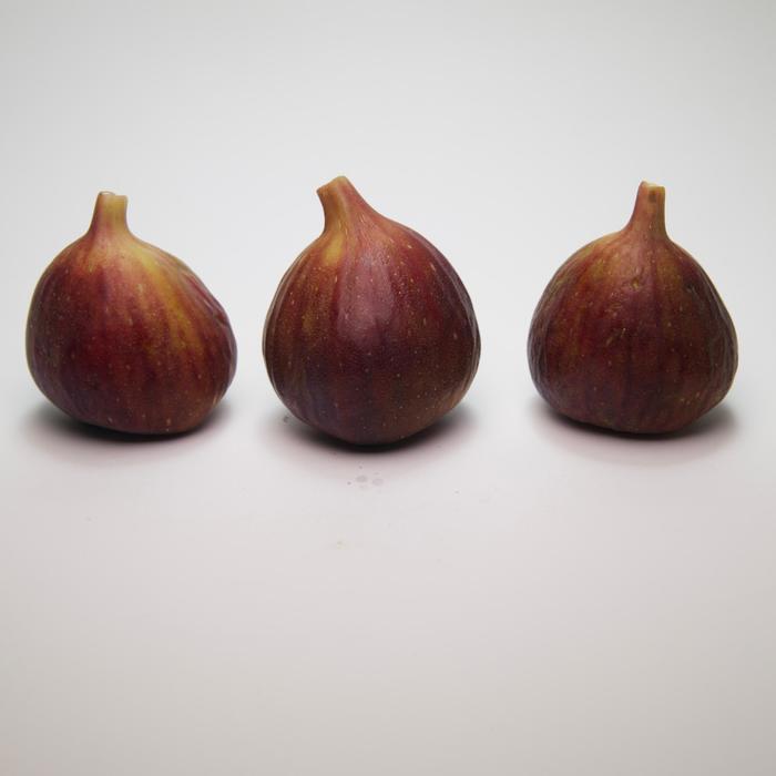 Buah Tin (Ara/Fig) segar, Hasil Pertanian Lokal Jakarta