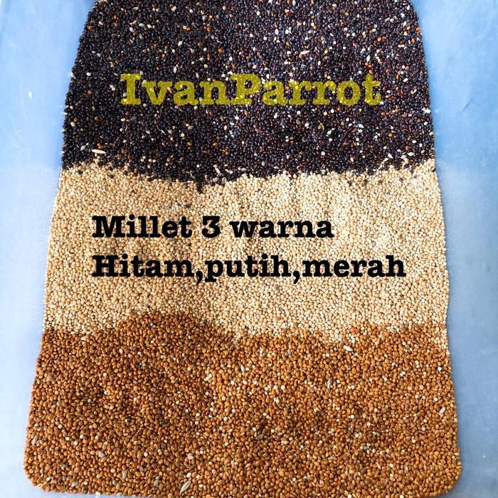MILLET 3 WARNA MILLET MERAH HITAM PUTIH 1KG PAKAN BURUNG