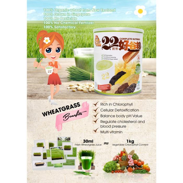 GOODLADY 22 GRAIN COMPLETE NUTRIMIX POWDER SEREAL HOCK HUA 22 HAO GU LIANG WHEATGRASS CHIA SEED