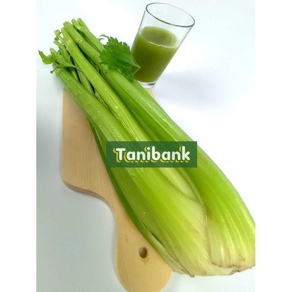 

Pilihan- Celery Stick Import / Seledri Stik Impor China Per Pax 10Kg