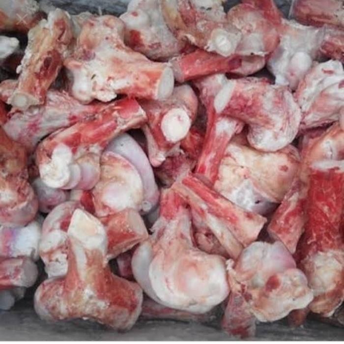 

Pilihan- Tulang Sumsum Kaki