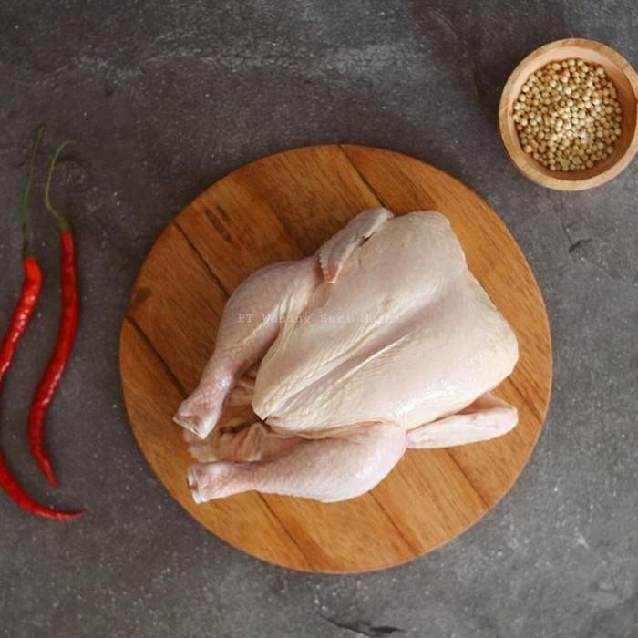 

Pilihan- Ayam Karkas Utuh / Ayam Potong Broiler Ukuran 0.7 - 0.8