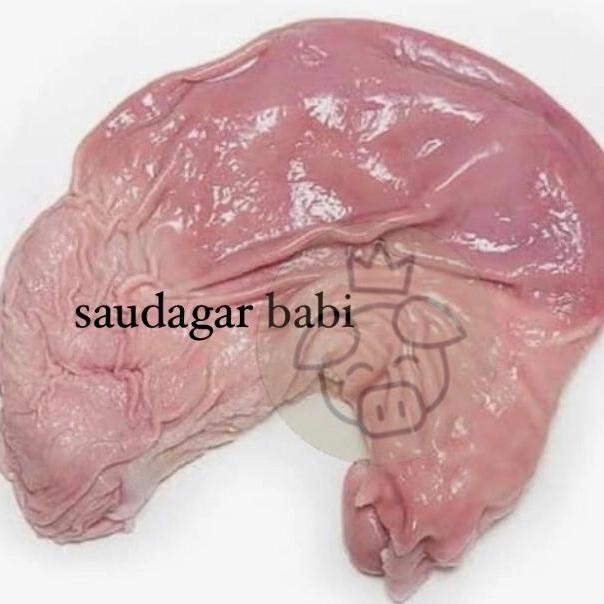 Pilihan- Tito Babi / Perut Babi / Cutu / Lambung Babi