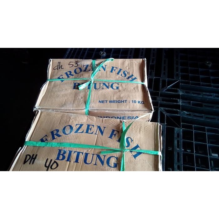 Kirim&siapmakan- Ikan Deho Beku/ Tongkol Beku/ Ikan Beku / Size 3-10 Pcs/Kg