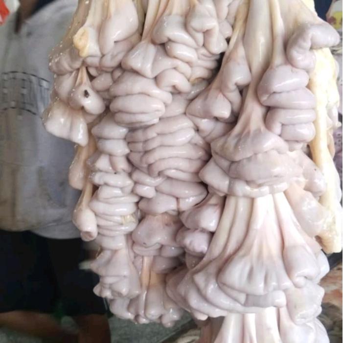USUS SAPI TAMBUSU MASAKAN PADANG - Bahan Makanan Tradisional untuk Resep Padang