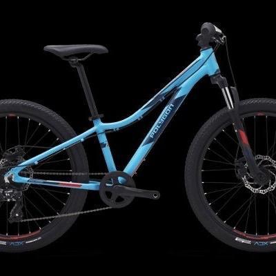 Sepeda Gunung Mtb Remaja Polygon Relic 24 - Biru