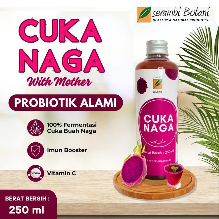 

TERMURAH Cuka Buah Naga With Mother Organik - Meningkatkan Imun Tubuh READY STOCK