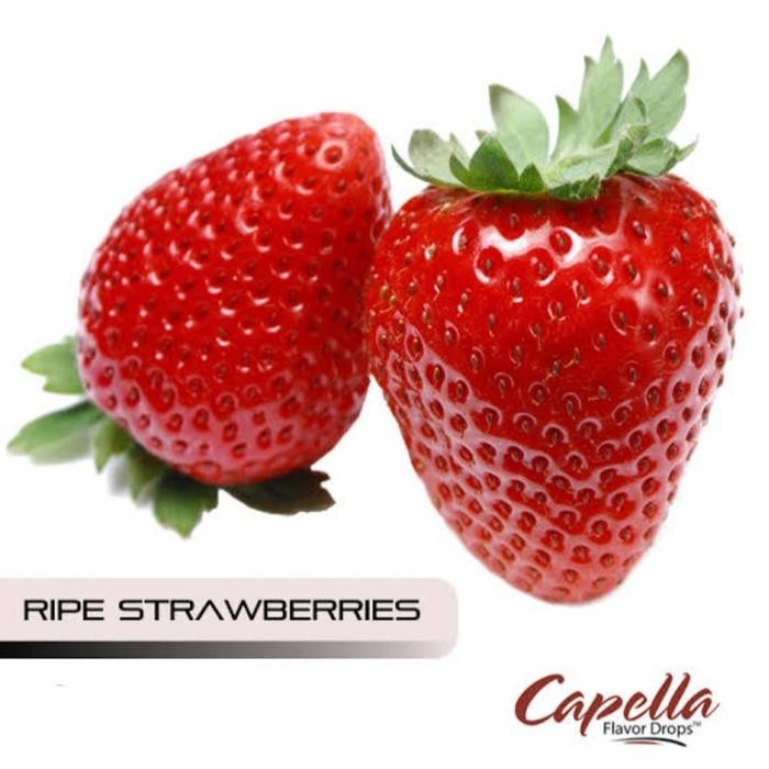 

Stok Baru Capella Ripe Strawberries essence makanan/minuman flavours