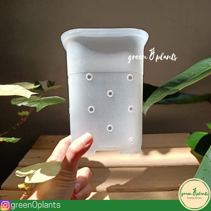 Pot NKT Kotak 12 Bening Berlubang