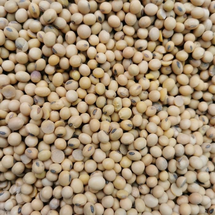 New Kacang Kedelai Amerika Mata Hitam 1kg