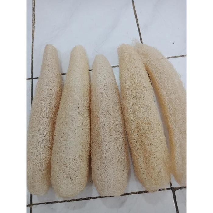 fcvvi- Sabut Oyong / Sabut Cuci Piring / Sikat Oyong / Gambas Ukuran Besar (Panjang +-30Cm