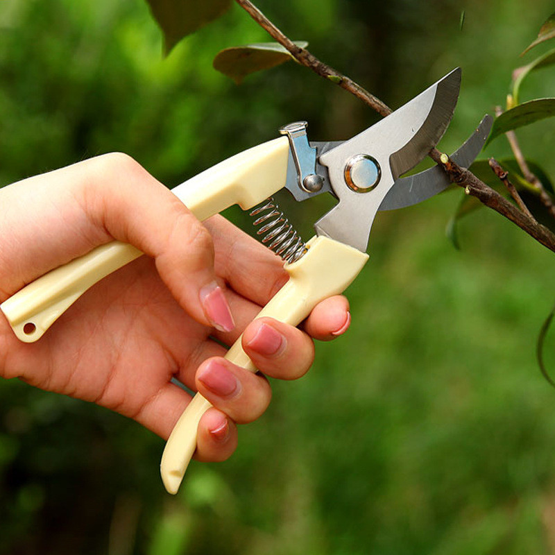 TERBARU Stainless Steel Horticultural Pruning and Grafting Tools Fruit Tree Pruning Horticultural Pl