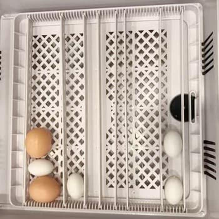 36 Egg Incubator Penetas Telur HHD 36 Full Automatis Reptil Burung