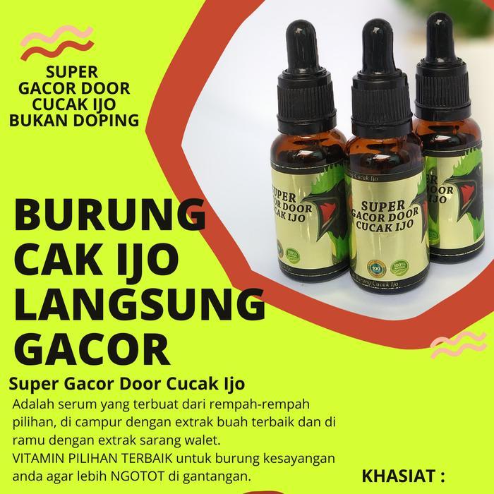 Terlaris Penggacor Cucak Ijo Super Gacor Door Cucak Ijo Juara Lomba Gantang