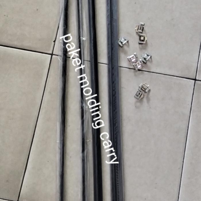 WEATHERSTRIP PLIPIT PELIPIT LIS MOLDING KACA PINTU DEPAN MOBIL CARRY