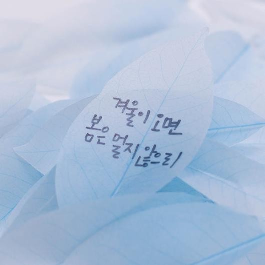 

Appree Blue Birch Tracing Leaf Sticky Note