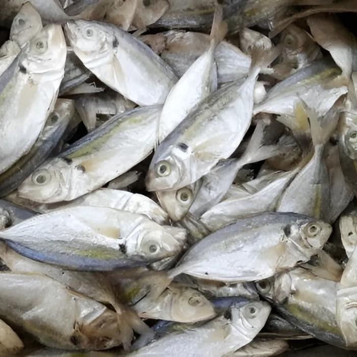 

Pilihan- Ikan Asin Selar