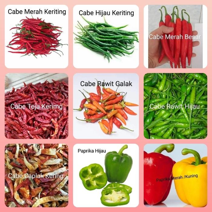

Pilihan- Cabe Merah Keriting,Cabe Hijau, Cabe Rawit, Caplak Teja Paprika Murah
