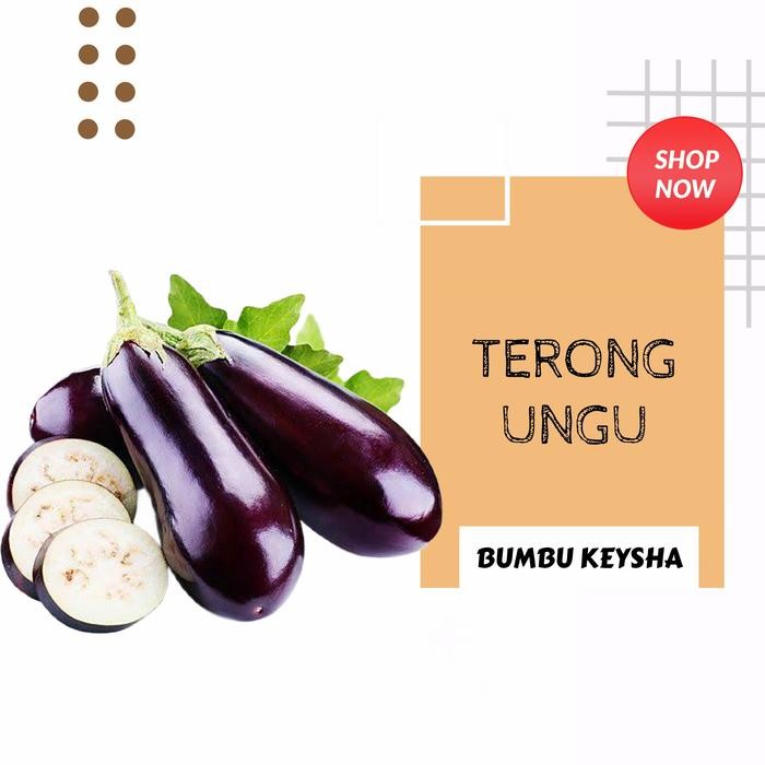 

Pilihan- Terong Ungu