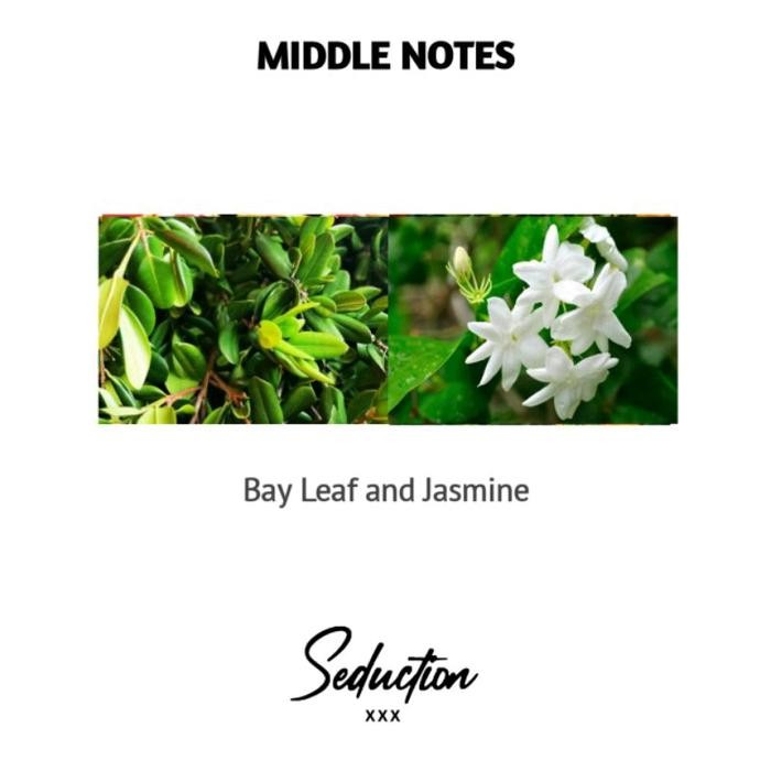 Seduction Parfume Pheromone XXX ( love Series ) Parfume khusus Lelaki Dewasa