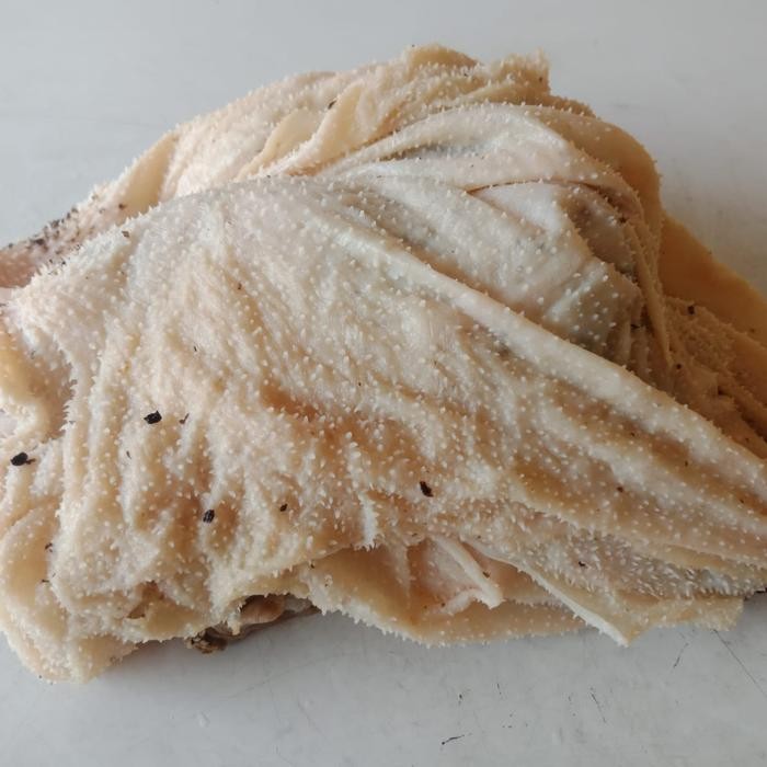 

Pilihan- Babat Sapi Jenis Jarit