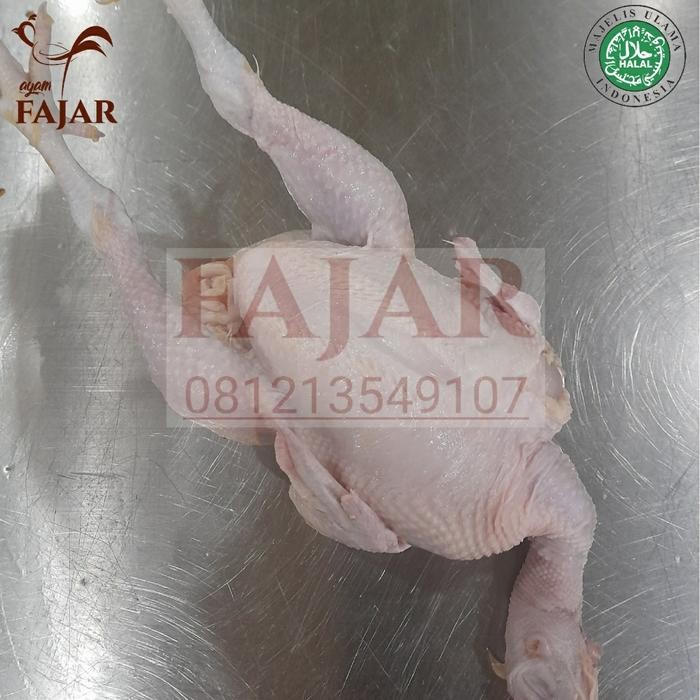 

Pilihan- Ayam Ekoran Utuh Segar/Ayam Utuh Dengan Kaki Kepala Ukuran 1.3