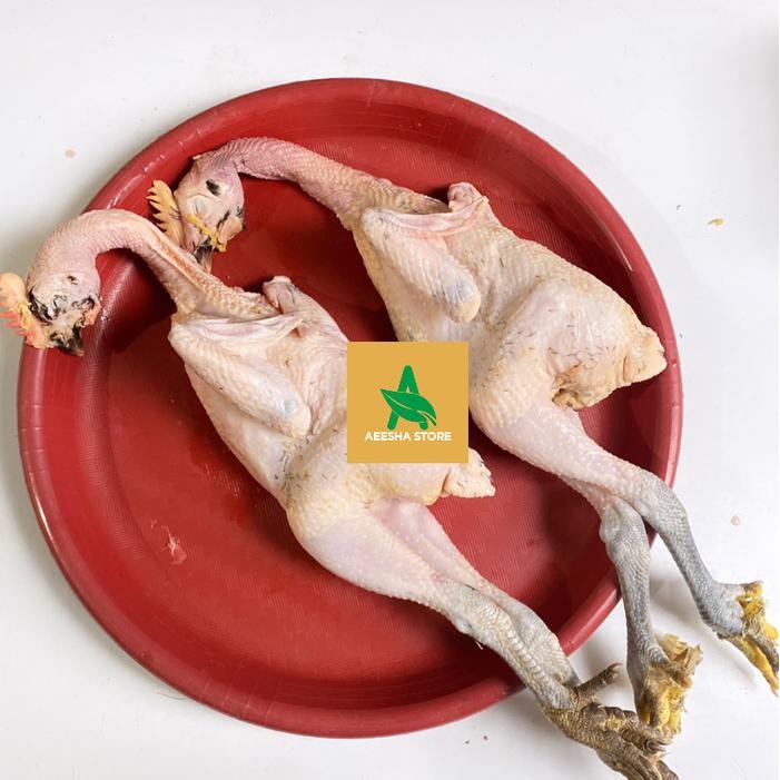 

Pilihan- Ayam Kampung Asli Kaki Hitam Utuh