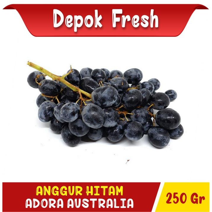 Pilihan- Buah Import Anggur Hitam Autumn Usa Authum Australia