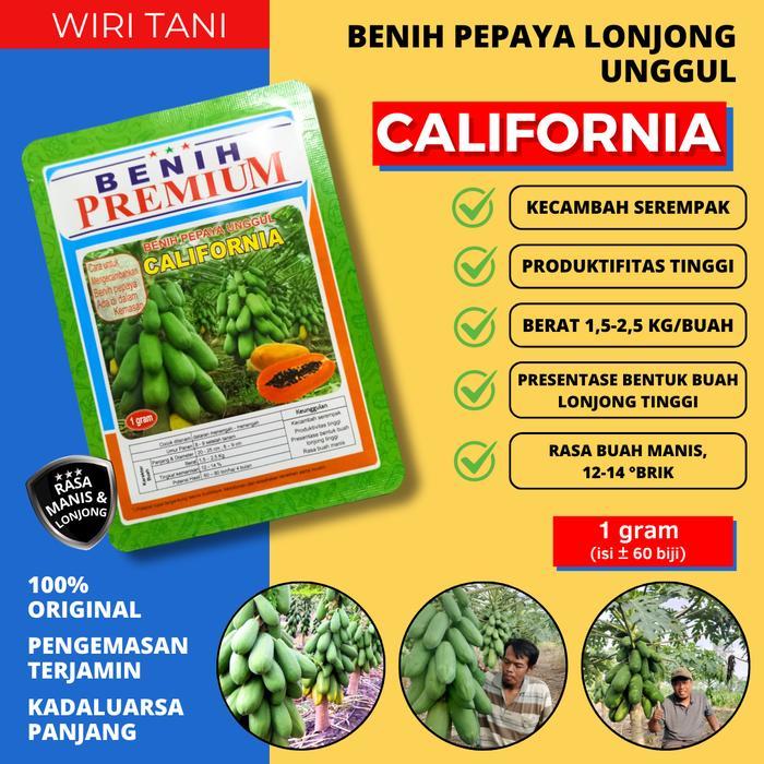 (isi 60 biji ) Benih Biji Pepaya California/IPB-9 kemasan 1 Gram Bibit Kates Kalifornia Benih