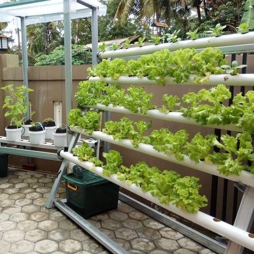 

Promo Promo Ab Mix Ps Mix 10 Liter 3,3Kg - Ab Mix Hidroponik Nutrisi Ab Mix Tbk