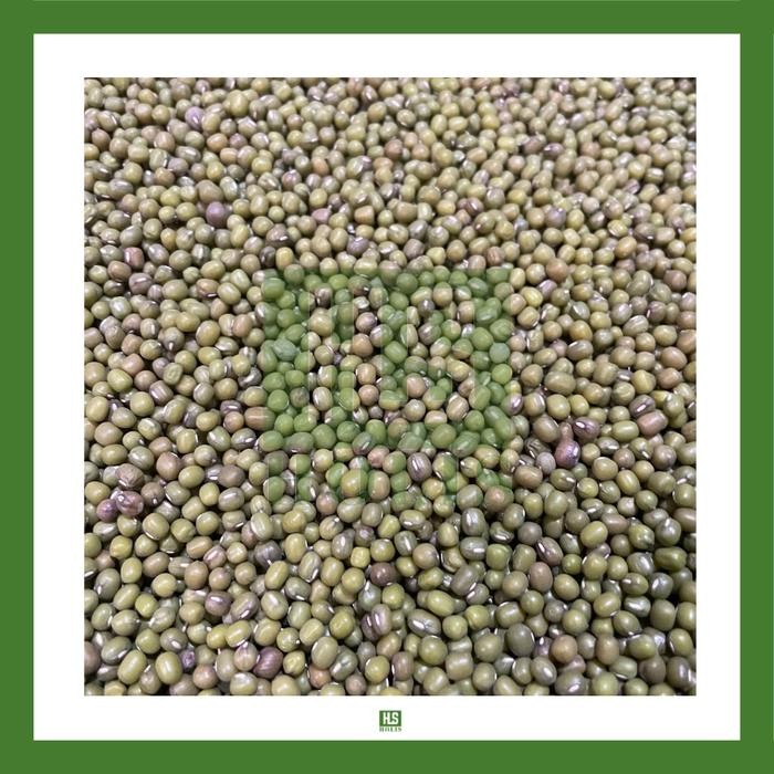 Pilihan- Kacang Hijau / Kacang Ijo Afrika 1 Kg