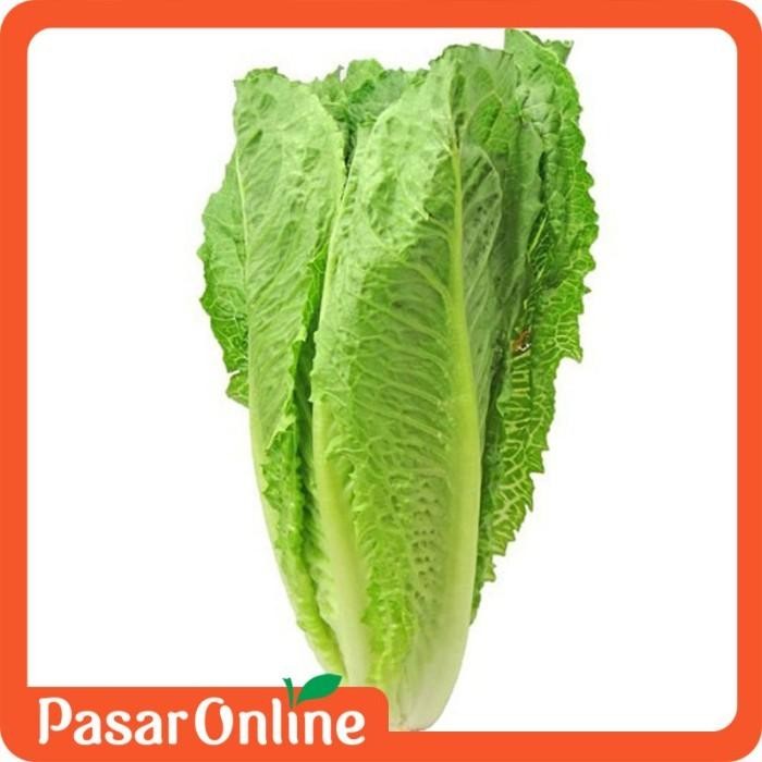 

Pilihan- Selada Romaine Sayuran Hijau Segar,