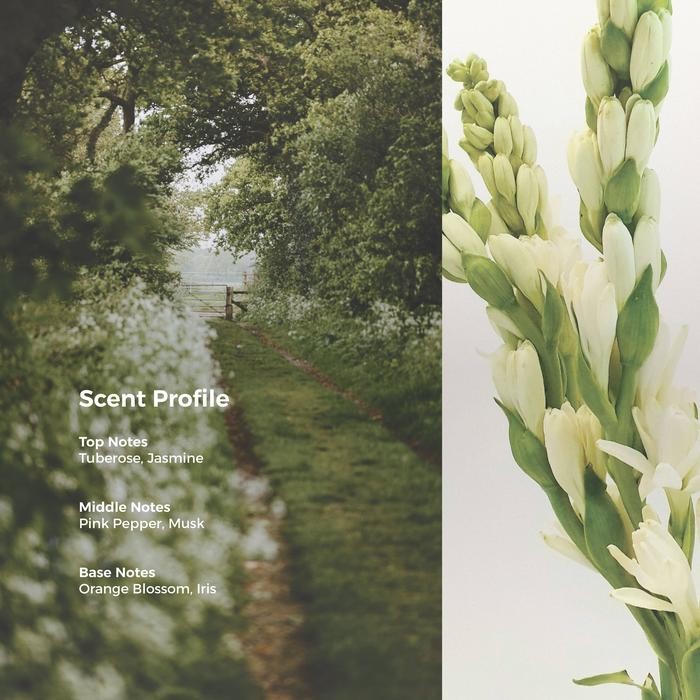 Scents OF Pluto Fragrance - White Floral Bouquet EDP 50mL