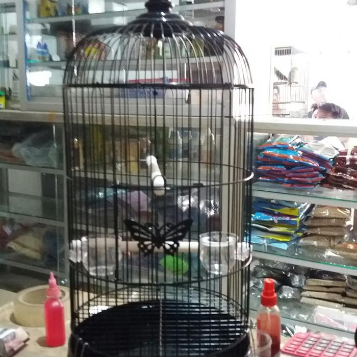 Phoenix Aviary - Kandang Besi Pleci Merek Boom