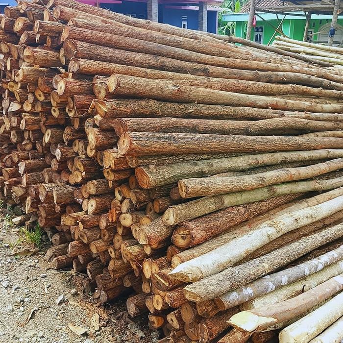 Kayu Dolken panjang 4 meter Kayu Dolken Racuk Kayu Cerucuk Murah Jakarta