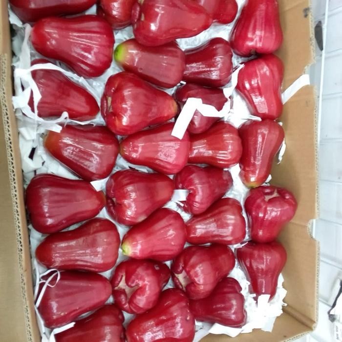 SegArRr- Jambu Air Jambu Air Merah Jambu Air Super Jambu Air Premium -1Kg