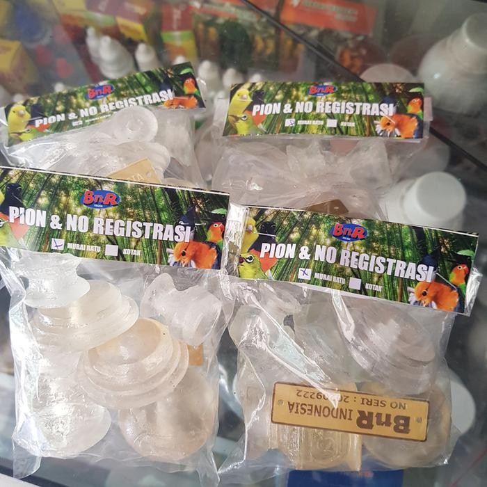 ASLI pion n nomer registrasi BnR prescup READY STOCK