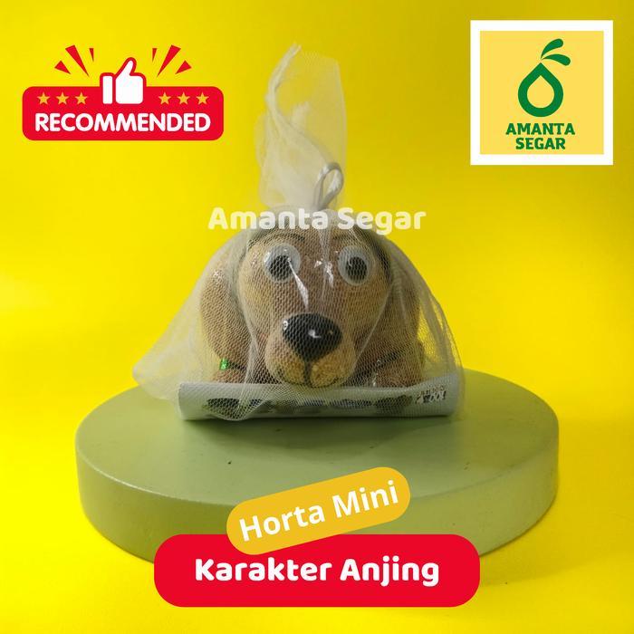 Boneka Horta Mini Karakter Anjing Boneka Edukasi Bisa Tumbuh Rumput