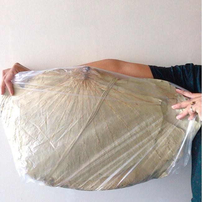 

SIAPKIRIM Daun teratai kering untuk lomaikai - 100gr READY STOCK